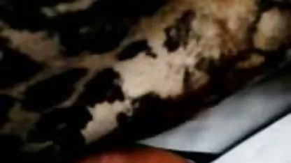 Weiß Küken Terra Cox freie erotikfilme liebt creampie